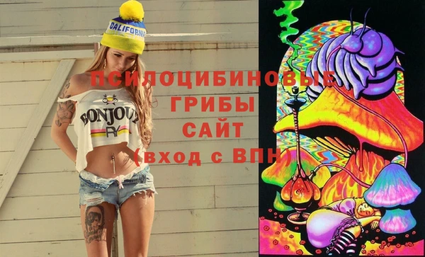 гашик Мегион