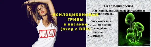 ECSTASY Медногорск