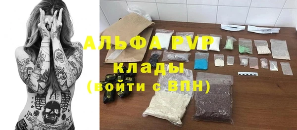 гашик Мегион