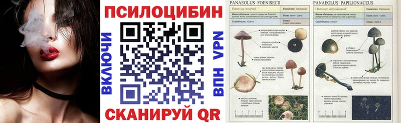 Галлюциногенные грибы Cubensis  Ялта 